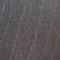 Plážové lehátko typ